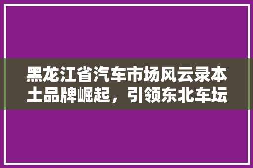 黑龙江省汽车市场风云录本土品牌崛起，引领东北车坛新潮流