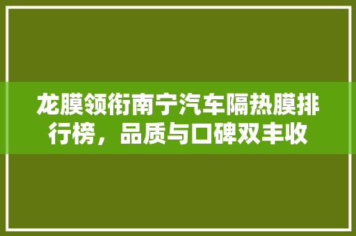 龙膜领衔南宁汽车隔热膜排行榜，品质与口碑双丰收