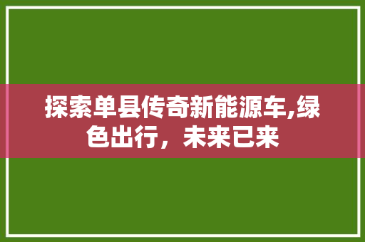 探索单县传奇新能源车,绿色出行，未来已来