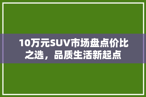10万元SUV市场盘点价比之选，品质生活新起点