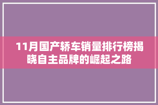 11月国产轿车销量排行榜揭晓自主品牌的崛起之路