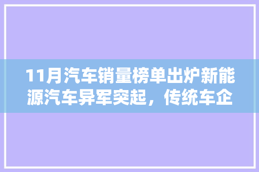 11月汽车销量榜单出炉新能源汽车异军突起，传统车企面临挑战
