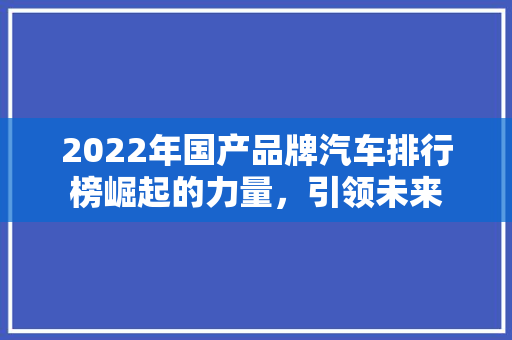2022年国产品牌汽车排行榜崛起的力量，引领未来