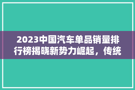 2023中国汽车单品销量排行榜揭晓新势力崛起，传统巨头稳坐江山