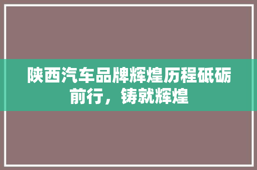 陕西汽车品牌辉煌历程砥砺前行，铸就辉煌