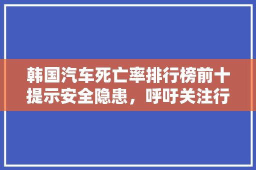 韩国汽车死亡率排行榜前十提示安全隐患，呼吁关注行车安全