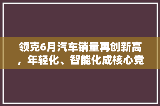 领克6月汽车销量再创新高，年轻化、智能化成核心竞争力