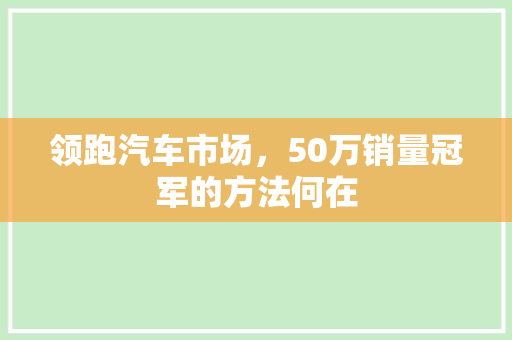 领跑汽车市场，50万销量冠军的方法何在