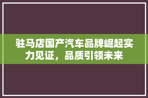 驻马店国产汽车品牌崛起实力见证，品质引领未来