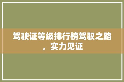驾驶证等级排行榜驾驭之路，实力见证
