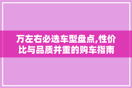 万左右必选车型盘点,性价比与品质并重的购车指南