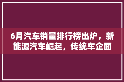 6月汽车销量排行榜出炉，新能源汽车崛起，传统车企面临挑战