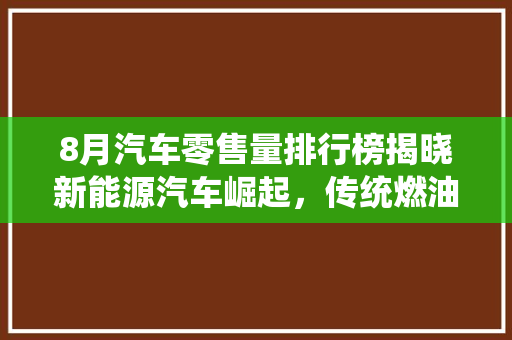 8月汽车零售量排行榜揭晓新能源汽车崛起，传统燃油车面临挑战