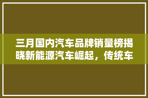三月国内汽车品牌销量榜揭晓新能源汽车崛起，传统车企面临挑战