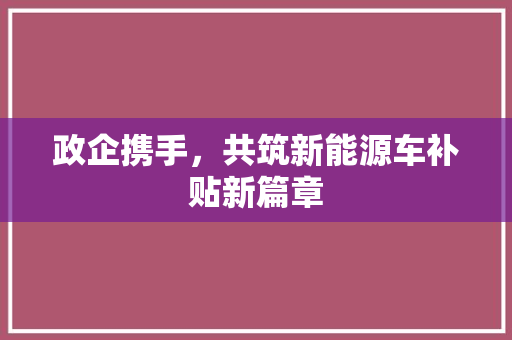 政企携手，共筑新能源车补贴新篇章