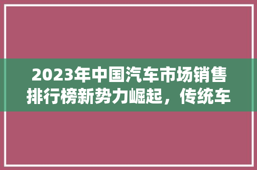 2023年中国汽车市场销售排行榜新势力崛起，传统车企稳扎稳打